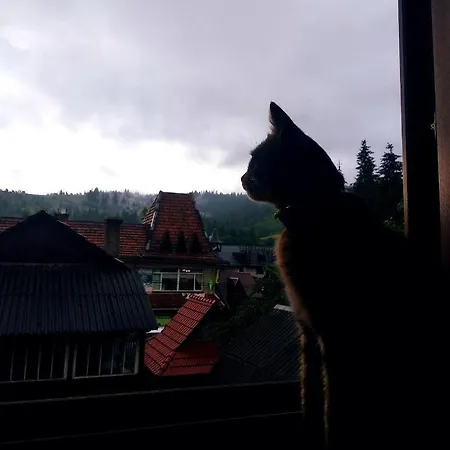 Cottage Spadok Gasthof 3*